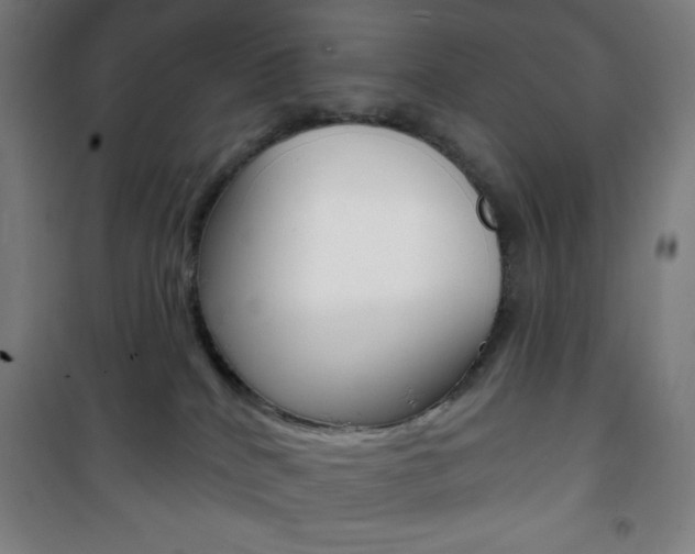 X0000101700040200807101356