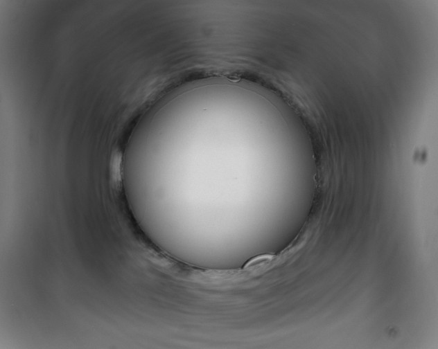 X0000101700041200807101356