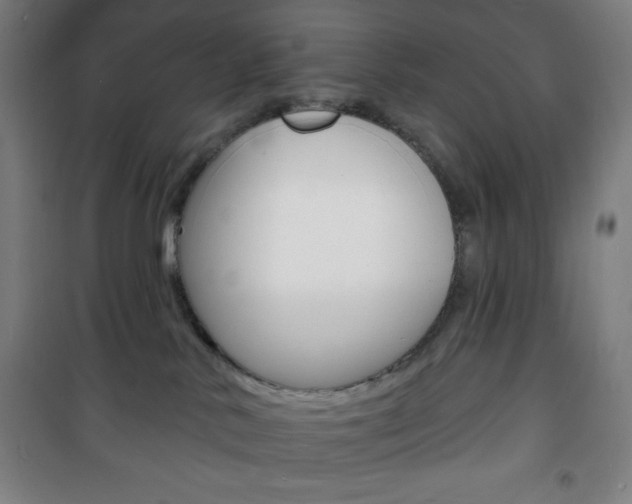 X0000101700042200807101356