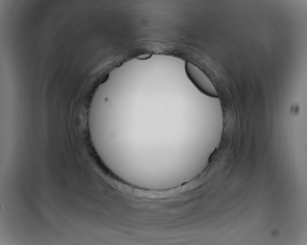 X0000101700043200807101356