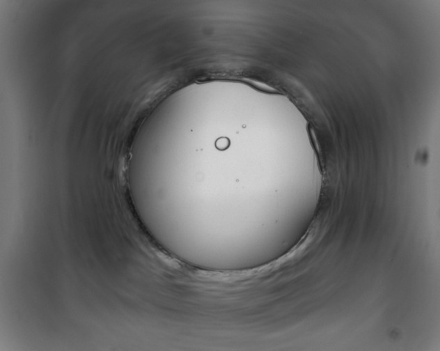 X0000101700045200807101356