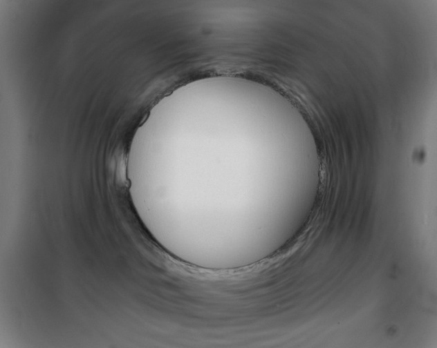 X0000101700046200807101356