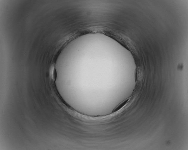 X0000101700047200807101356