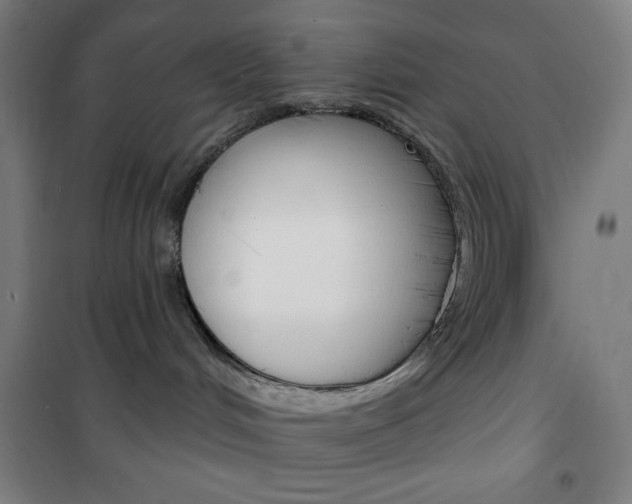 X0000101700048200807101356
