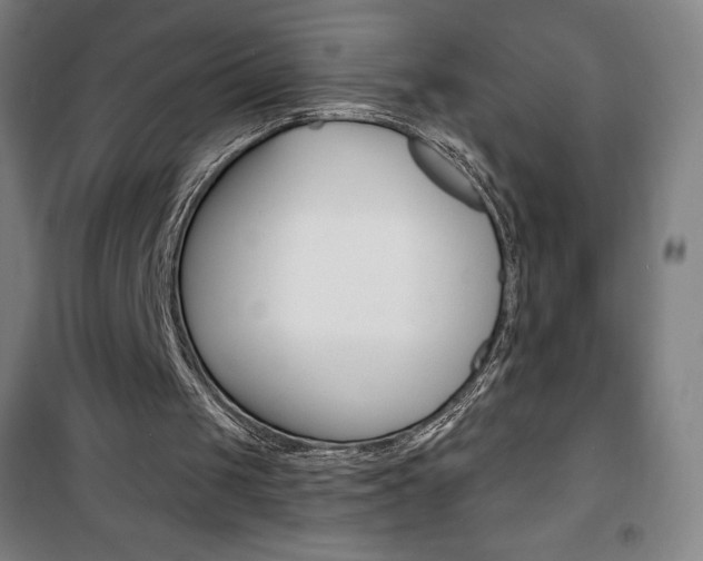 X0000101700049200807101355