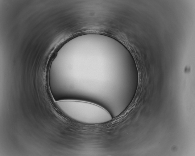 X0000101700050200807101355