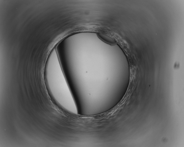X0000101700051200807101355