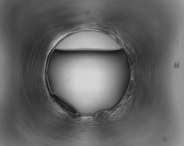 X0000101700052200807101355