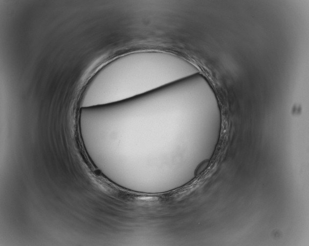 X0000101700053200807101355