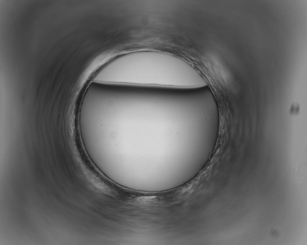 X0000101700054200807101355
