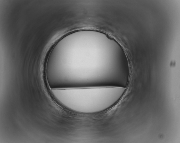 X0000101700055200807101355