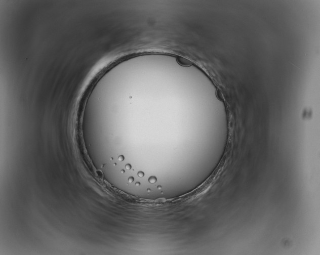 X0000101700056200807101355