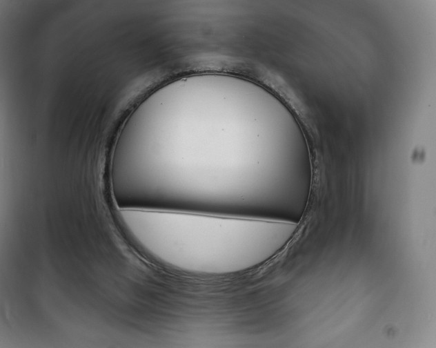X0000101700058200807101355