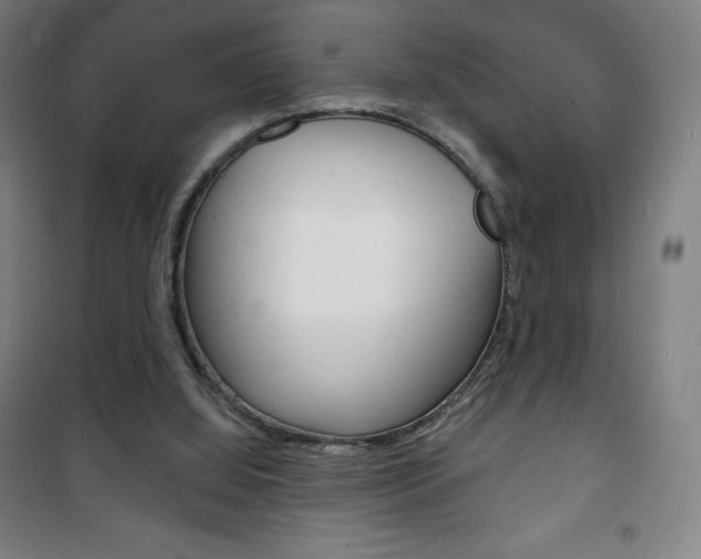 X0000101700060200807101355