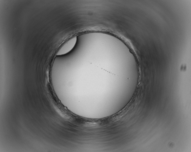 X0000101700061200807101355