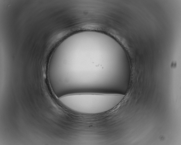 X0000101700062200807101355
