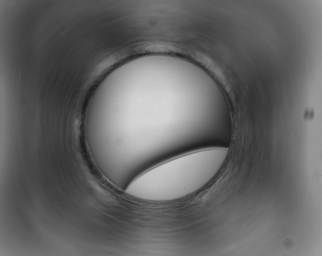 X0000101700063200807101355