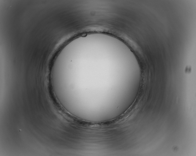 X0000101700064200807101355