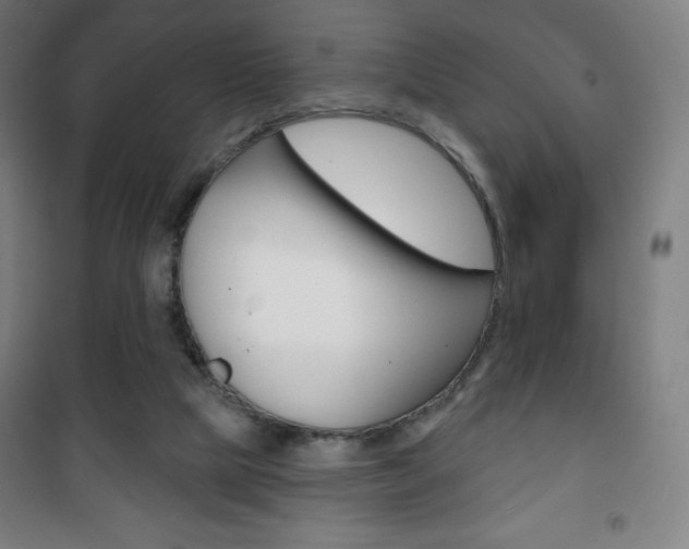 X0000101700065200807101355
