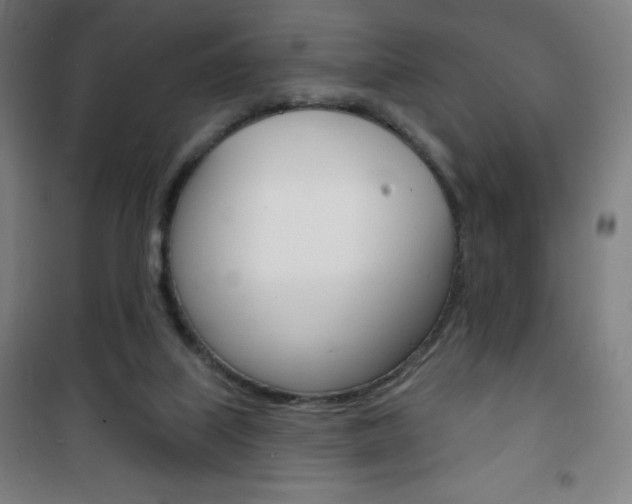 X0000101700067200807101355
