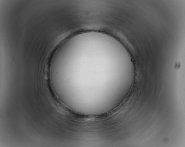 X0000101700068200807101355