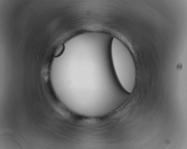 X0000101700069200807101355