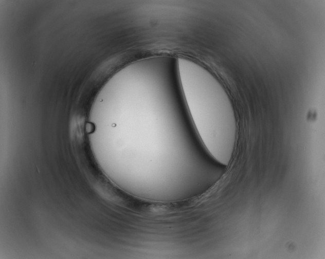X0000101700070200807101355