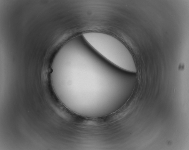 X0000101700072200807101355