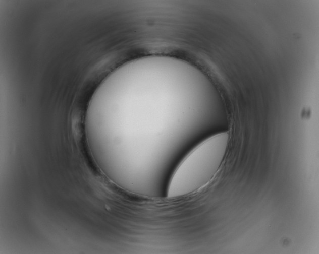 X0000101700074200807101355