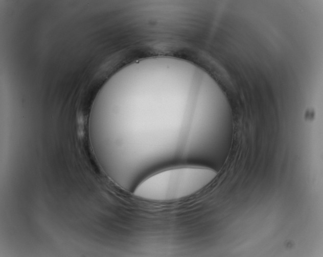 X0000101700075200807101355