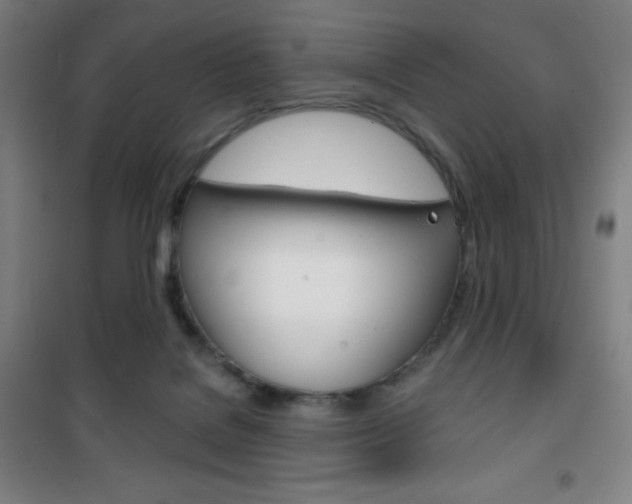 X0000101700076200807101355
