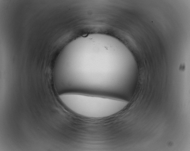 X0000101700077200807101355