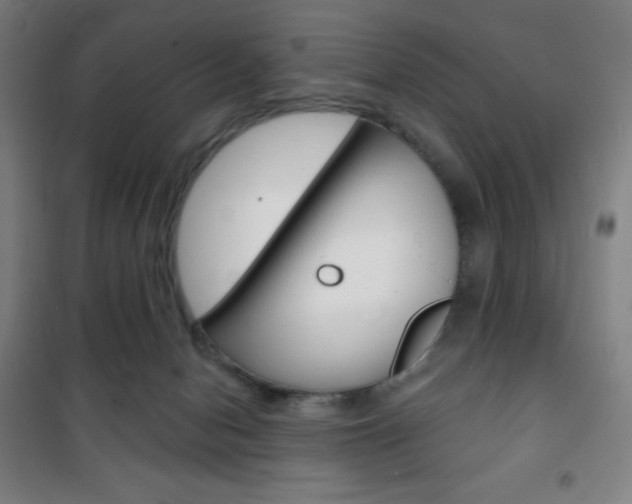 X0000101700078200807101355