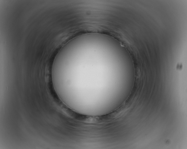X0000101700080200807101355