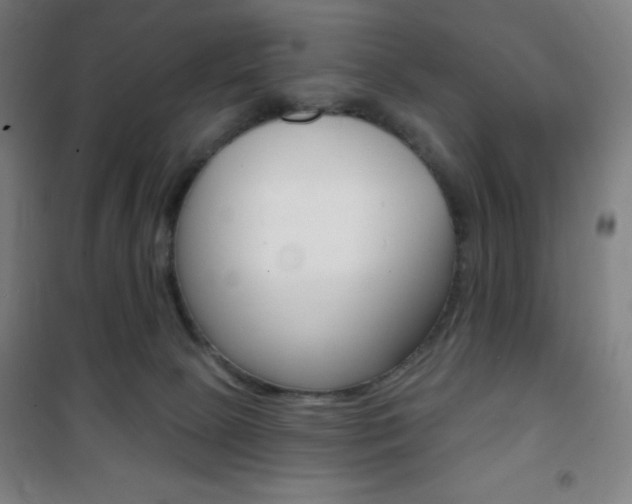 X0000101700081200807101355