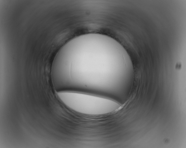 X0000101700082200807101355