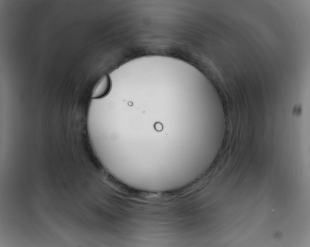 X0000101700083200807101355