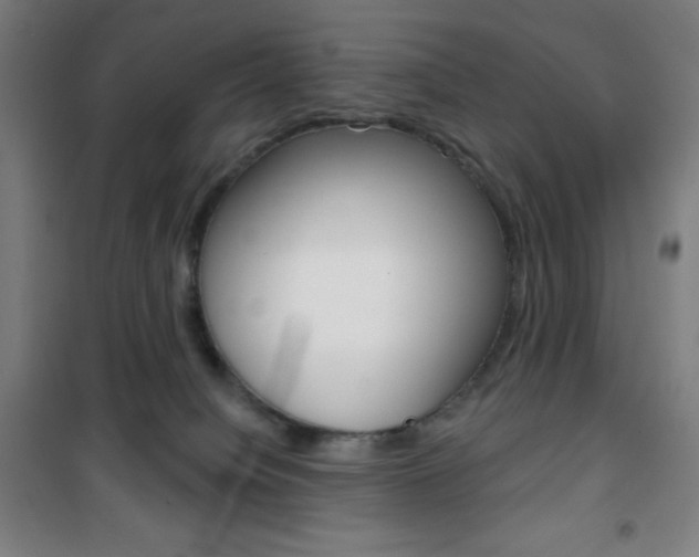 X0000101700084200807101355