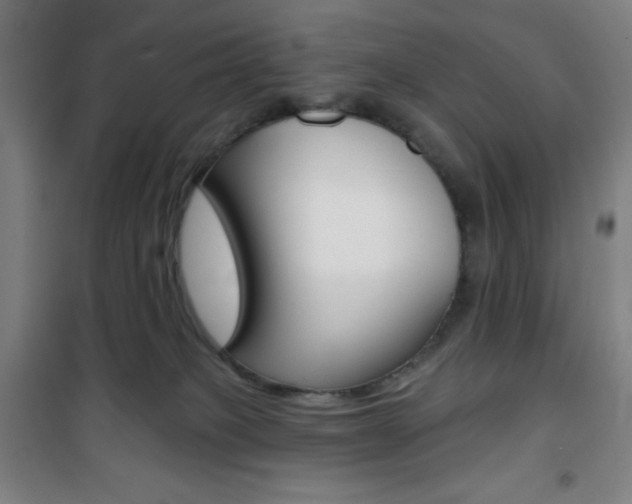 X0000101700085200807101355