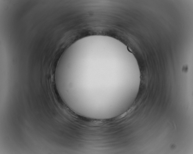 X0000101700086200807101355