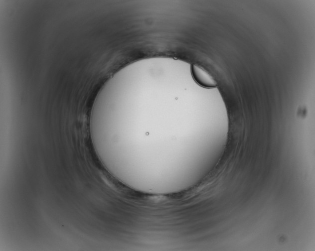 X0000101700087200807101355