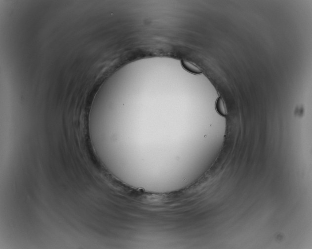 X0000101700088200807101355