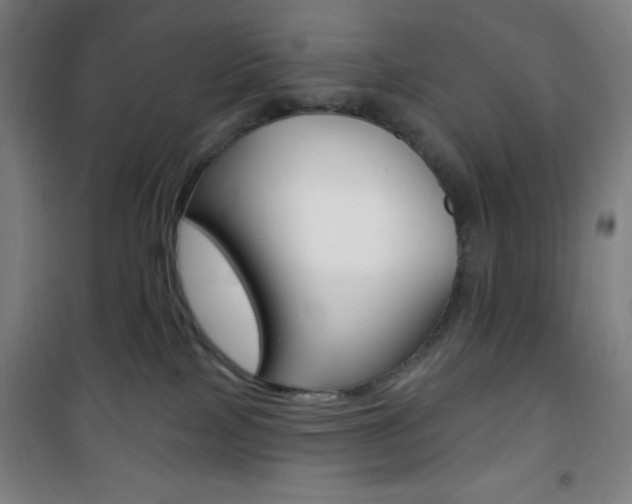 X0000101700089200807101355