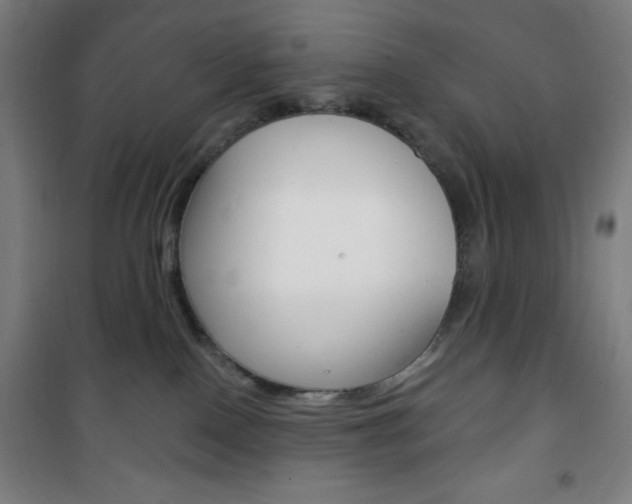 X0000101700090200807101355