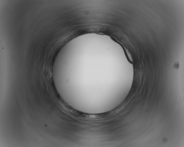 X0000101700091200807101355