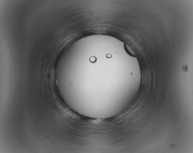 X0000101700092200807101355