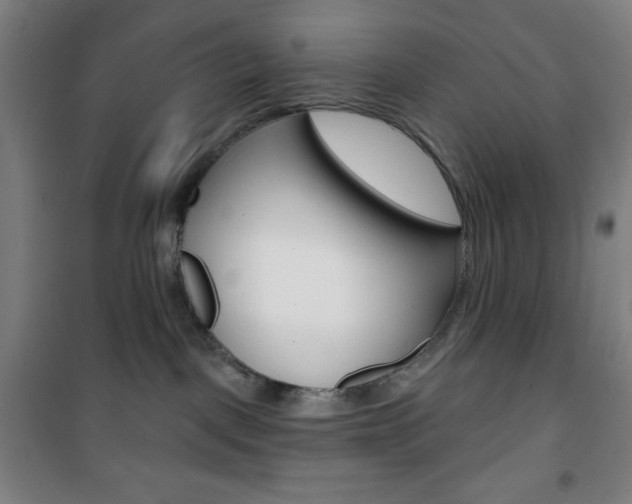 X0000101700093200807101355