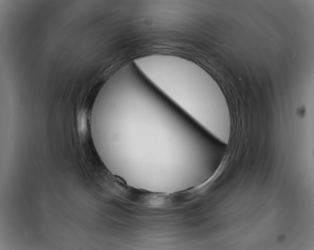 X0000101700094200807101355