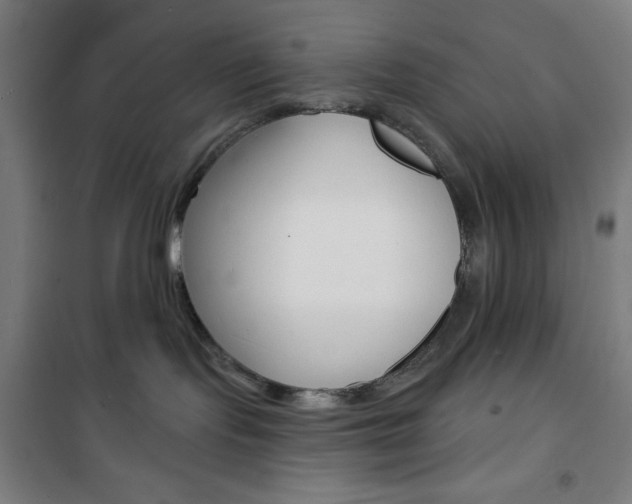 X0000101700095200807101356