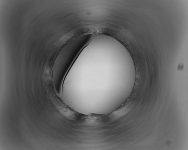X0000101700096200807101356